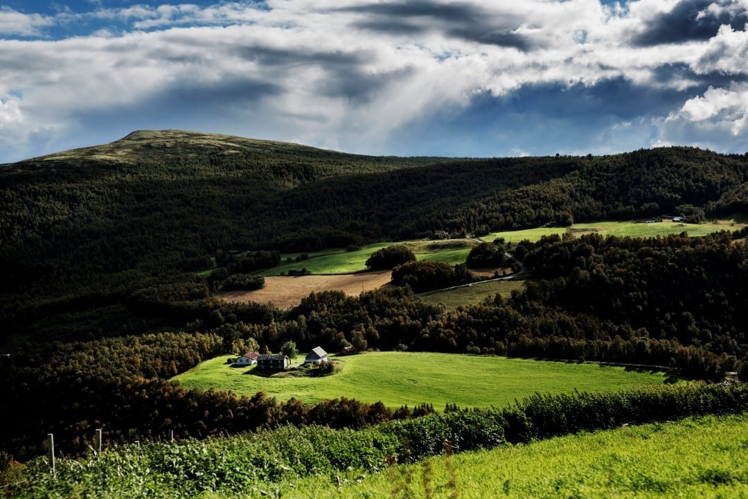 Tjukkmjølkas Fort Knox. Foto: Marius Sunde Tvinnereim