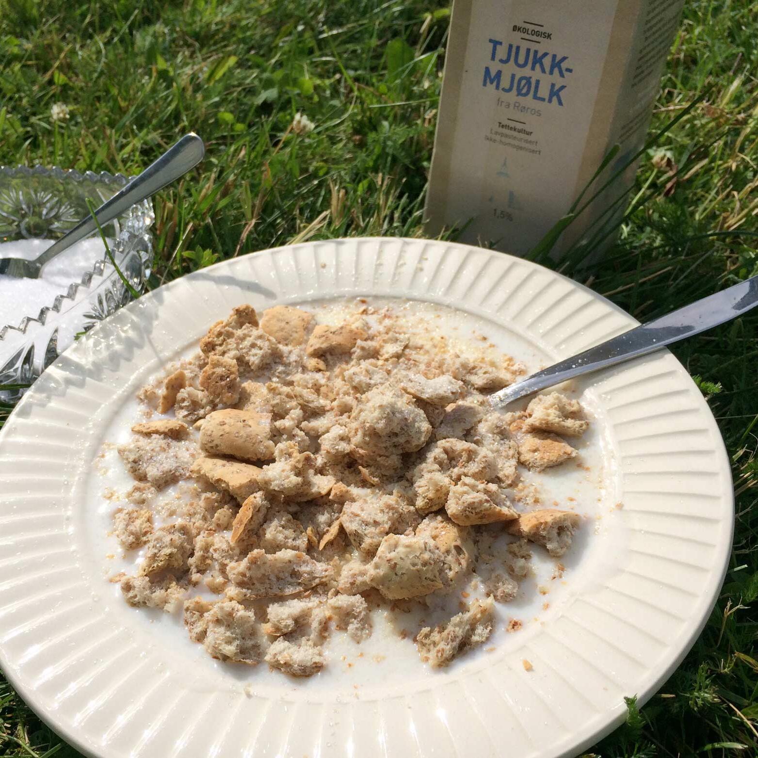 En sommertallerken med tjukkmjølk