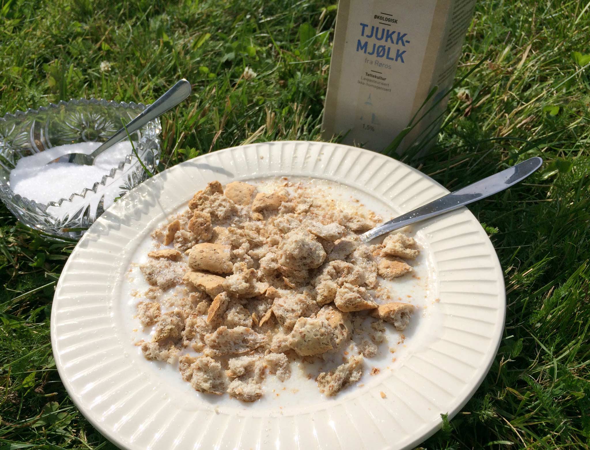 En sommertallerken med tjukkmjølk